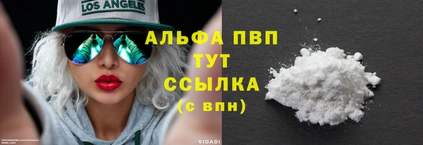 гидра Арсеньев