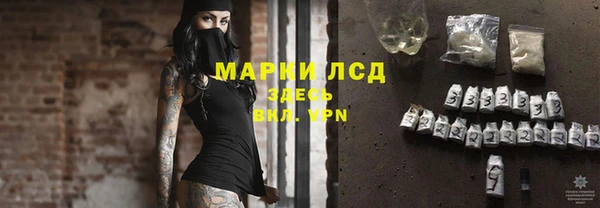 гидра Арсеньев