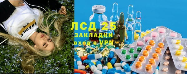 гидра Арсеньев