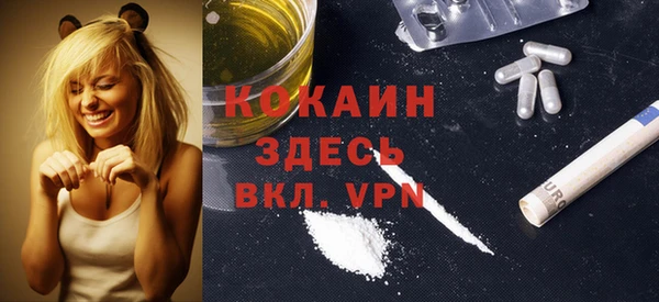 гидра Арсеньев