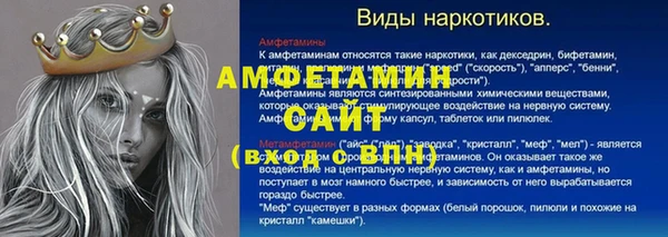 гидра Арсеньев