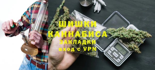 гидра Арсеньев